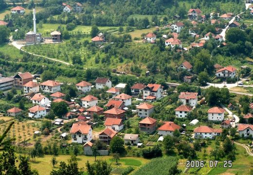 Zalug